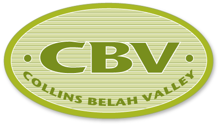 cbv logo