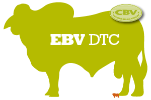 EBV DTC graphic